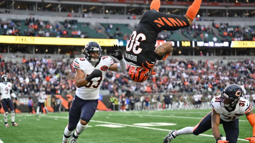 Chicago Bears vs Bengals Match Player Stats Reveal Key Game Moments Chicago Bears vs Bengals Match Player Stats